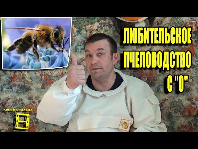 Beekeeping for Beginners. Introduction.