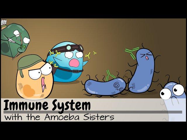 Immune System