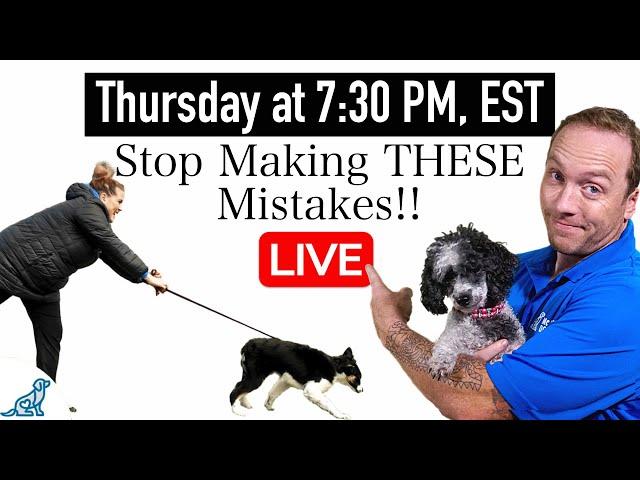 5 COMMON Training Mistakes That New Dog Owners Make!