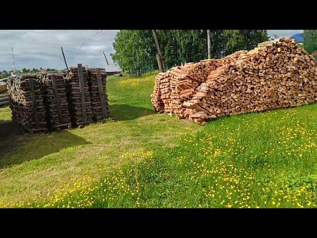 Начал бороться с сорняками на огороде. Да не хочу я покупать каракат. 18.06.25