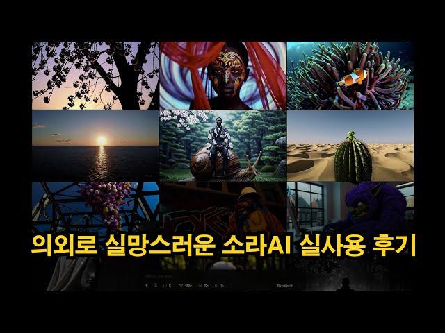 소라 비디오 실사용 후기.. 기대가 너무 컸던 걸까요?