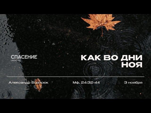 03.11.24 | Александр Борисюк | Как во дни Ноя