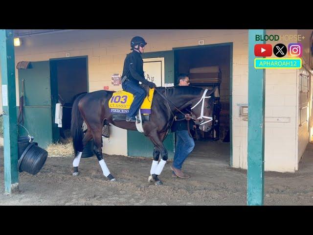 Sierra Leone, Fierceness, City of Troy and More Train for the 2024 Breeders' Cup at Del Mar