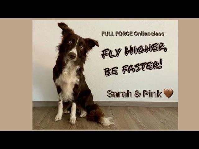 Pink - Fly Higher, Be Faster - by Dani Lehrer