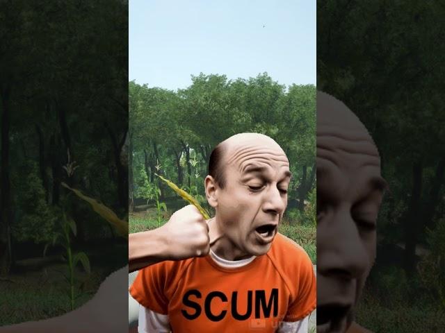 THAT TEAMMATE WHO KEEPS SCREAMING " HE'S BEHIND A TREE! BEHIND A TREE!" | SCUM 0.96v |#scumgameplay