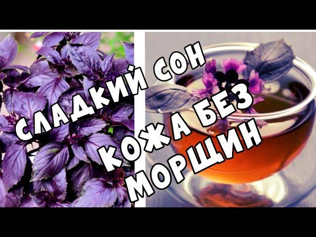 СЛАДКИЙ СОН ОБЕСПЕЧЕН! ЛУЧШИЙ ЧАЙ -САМЫЙ ВКУСНЫЙ ,САМЫЙ АРОМАТНЫЙ. БАЗИЛИК, полезные свойства.