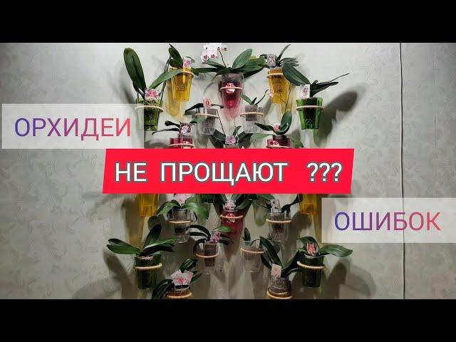 ОРХИДЕИ не прощают ОШИБОК  ???  снова ПЕРЕСАДКА  всех