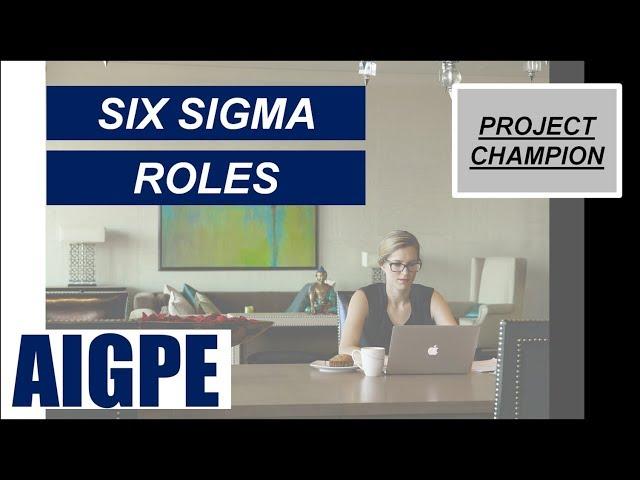 What are the different Six Sigma Project Roles? - Part 01 (FREE Mini Course Series)