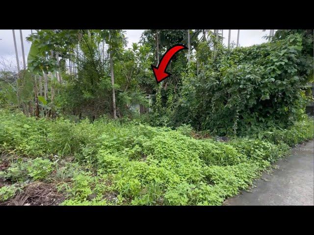 Horrific Discovery Cleaning & Restoring Overgrown Abandoned House Hidden Deep in the Forest