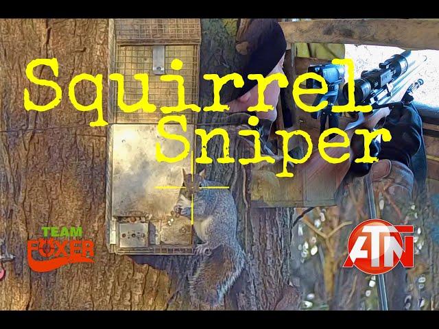 Squirrel Sniper #2