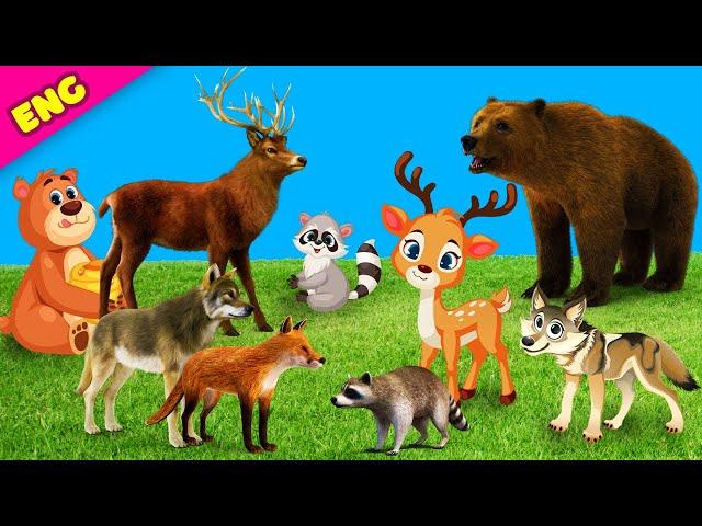 Learn the names and sounds of animals for kids. Sounds of a bear, fox, deer, hare