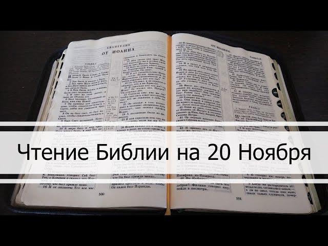 Чтение Библии на 20 Ноября: Псалом 141, Евангелие от Иоанна 18, Книга Захарии 1, 2, 3