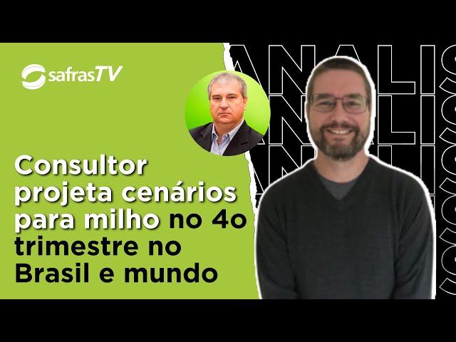 Consultor de Safras detalha cenários para milho no 4o trimestre e em 2025