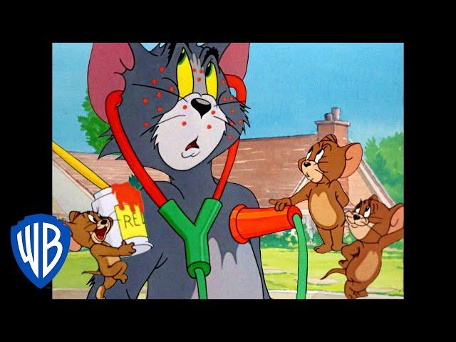 Tom und Jerry auf Deutsch | Jerry, der Gauner | WB Kids