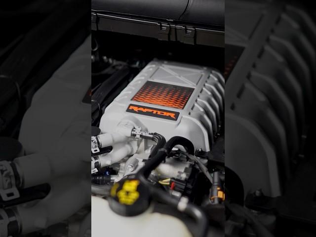 2023 Ford RaptoR V8 heartbeat sound #v8 #supercharged #raptorr