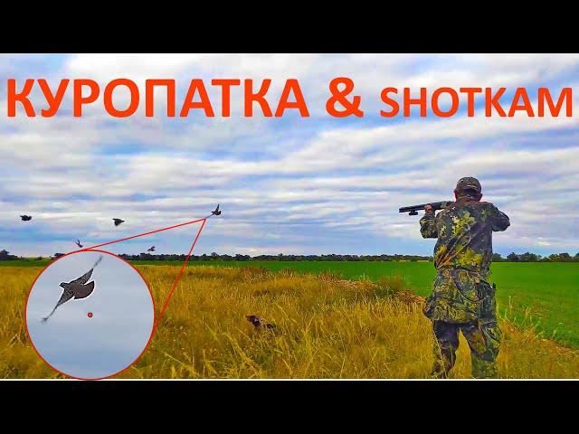 Охота на куропатку с камерой ShotKam. Часть 2. (перезалив)