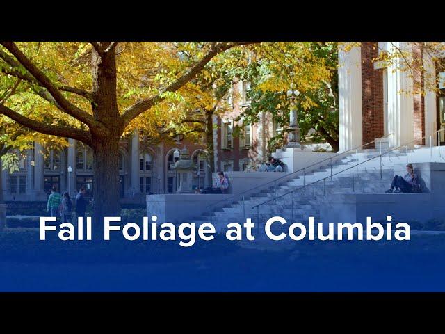 Fall Foliage at Columbia