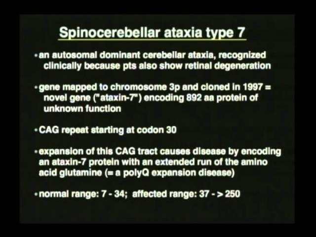 Neurogenetics of Huntington's Disease - Albert La Spada, MD Ph.D.