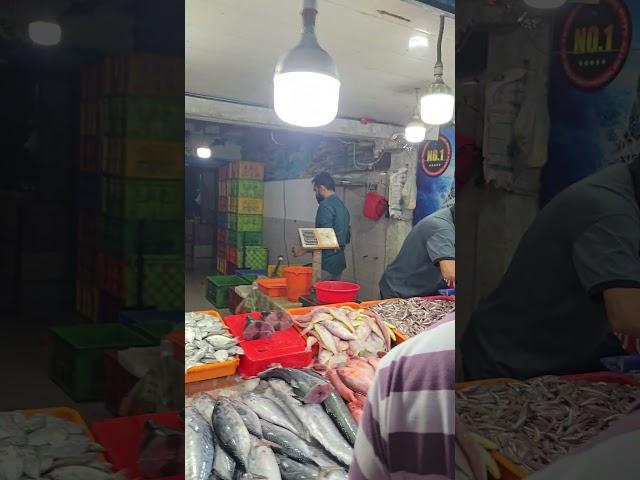 IRITTY FISH MARKET EXCLUSIVE VIDEO ONLY ON MALLU VLOGS 2 @TechTravelEat @WayanadanVloger