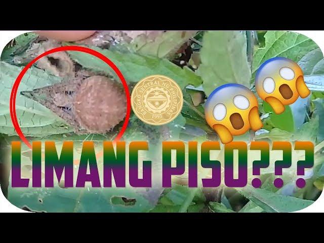 WOW!! NANLIIT YUNG LIMANG PISO SA LAKI NG GAGAMBA!!