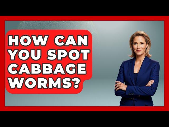 How Can You Spot Cabbage Worms? | Insects and Invaders
