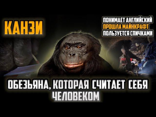 Канзи: Обезьяна гений, которая заговорила