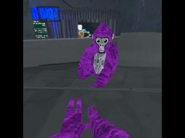 Moose taggers