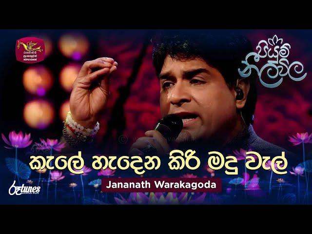 Kale Hadena Kiri Madu Wal  | කැලේ හැදෙන කිරි මදු වැල් | Jananath Warakagoda | Piyum Neela Vila