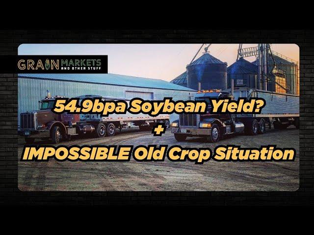 MONSTER Soybean Crop + Impossible Old Crop Situation