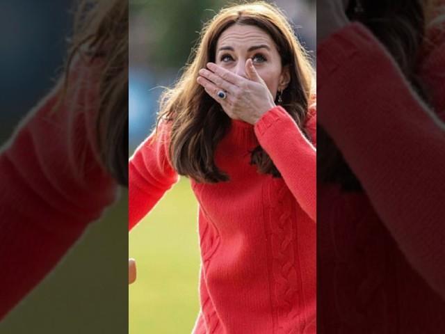 Princess Catherine And Prince William Were Trying hurling On Tour Of Ireland #royalfamily #shorts