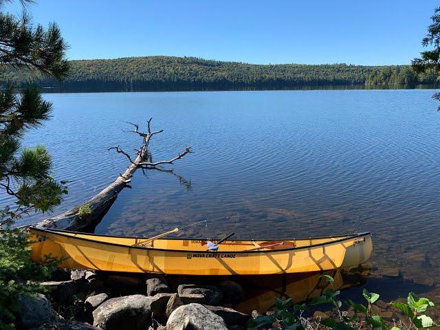 Algonquin Fall 2021