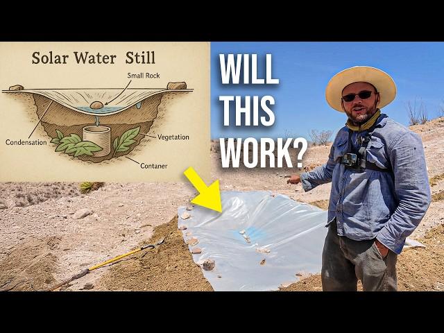 I Built a MASSIVE Solar Still for Water...will it work?