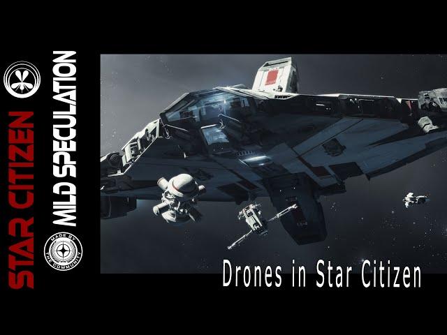 Mild Speculation   Drones in Star Citizen