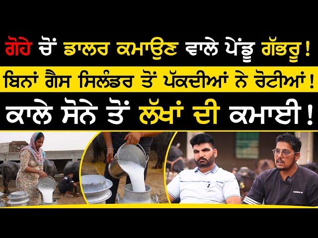 Dairy farming business - ਗੋਹੇ ਚੋਂ ਡਾਲਰ ਕਮਾਉਣ ਵਾਲੇ ਪੇਂਡੂ ਗੱਭਰੂ ! Reddu Dairy Farm | milking | sirlekh