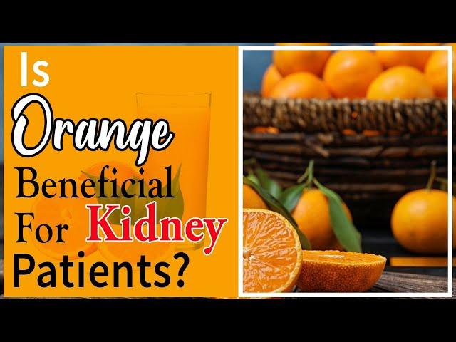 Karma Ayurveda fun facts for Kidney Patients | Karma Ayurveda Hospital