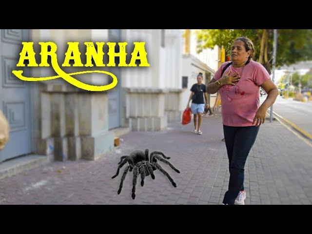 PEGADINHA DA ARANHA - ASSUSTANDO PESSOAS