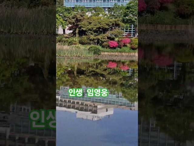 #인생 #임영웅 #인생힐링