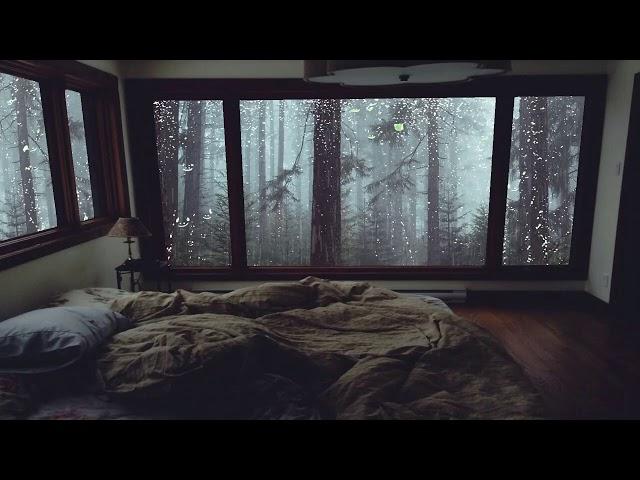 Relaxing Rain Sounds for Sleeping - Heavy Rain Sounds in Misty Forest without Thunder - 10 Hours