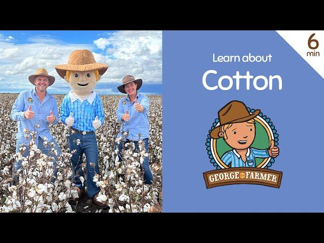 Cotton with George the Farmer