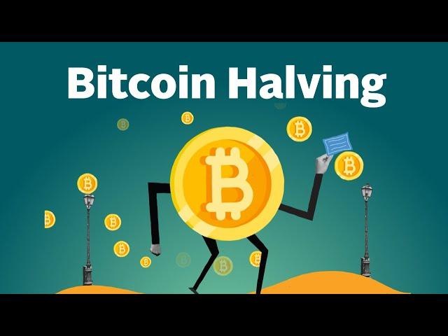 What is Bitcoin Halving? Explained by CoinGecko