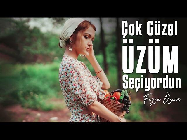 Çok Güzel Üzüm Seçiyordun-Hüsameddin Bayraklı (Feyza Özcan)