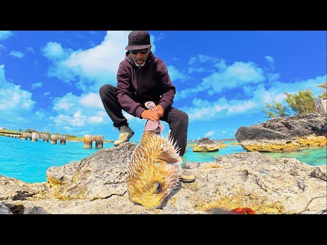  Action-Packed Fishing for Food After Work!