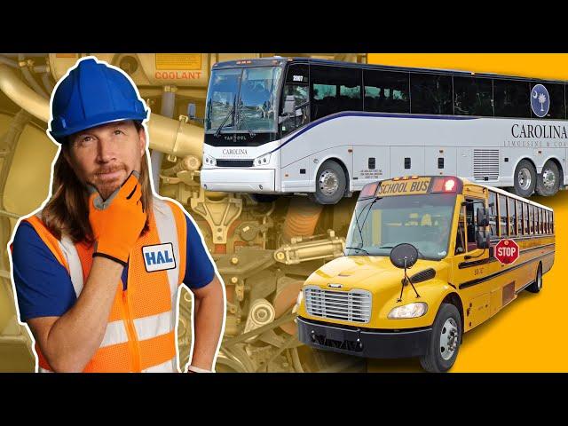  Buses for Kids | Learn about the Bus   Handyman Explores the School Bus