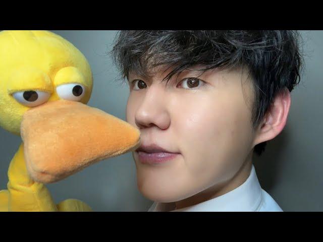 Yellow duck ASMR