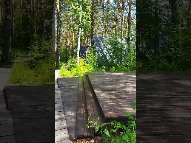 Горный Алтай, Тайга, Катунь, Этника.