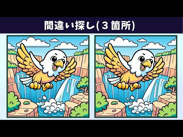 Spot the 3 Differences | Illustration Version #1699