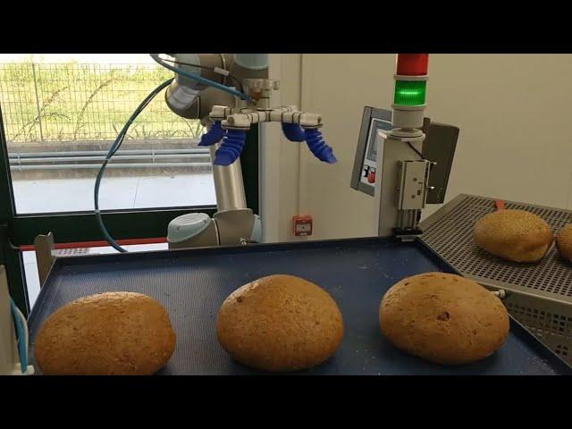 Automazione per l'industria della panificazione con Robot collaborativi e sistema di presa mGrip