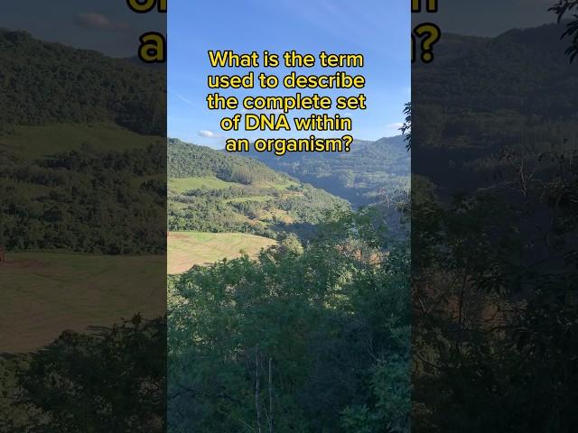 What is the term used to describe the complete set of DNA within an organism?