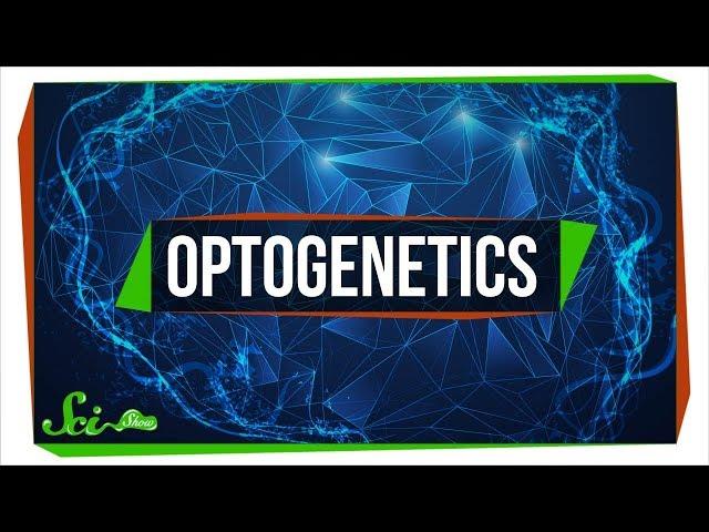 Optogenetics: Using Light to Control Your Brain