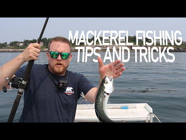 Mackerel Fishing, Tips and Tricks for catching live bait in Maine.